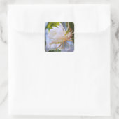 Queen of the Night:Square Seal Vierkante Sticker (Tas)