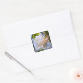 Queen of the Night:Square Seal Vierkante Sticker (Envelop)