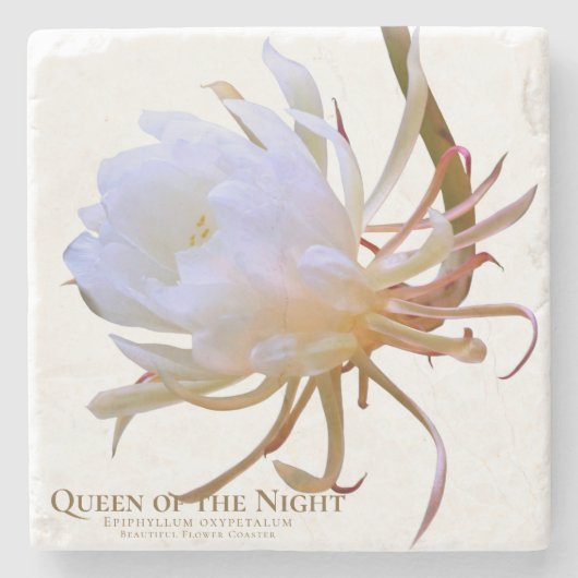 Queen of the Night Stenen Onderzetter (Voorkant)