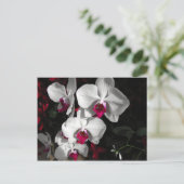 Queen Orchid Briefkaart (Staand voorkant)