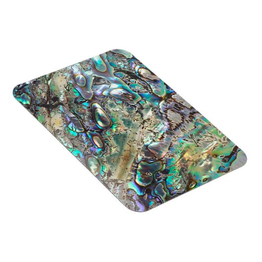 Queen paua shell magneet (Rechterzijde)