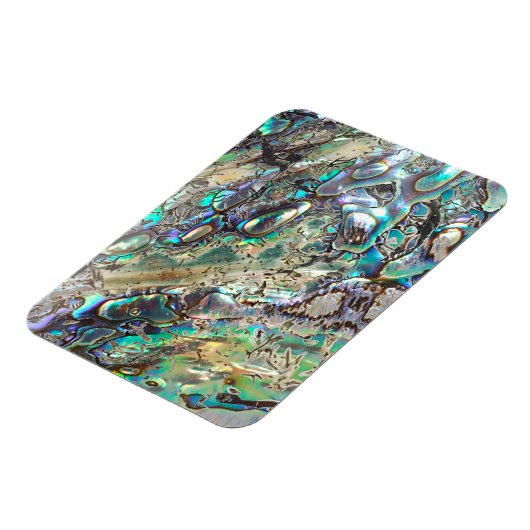 Queen paua shell magneet (Linkerzijde)