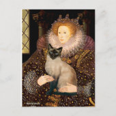 Queen- Seal Point Siamese kat Briefkaart (Voorkant)