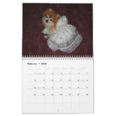 QUEEN SWEETIE POMERANIAN KALENDER (Feb 2026)