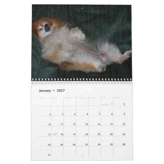 QUEEN SWEETIE POMERANIAN KALENDER (Jan 2027)