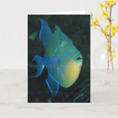 Queen Triggerfish-wenskaart Kaart (Gele Bloem)