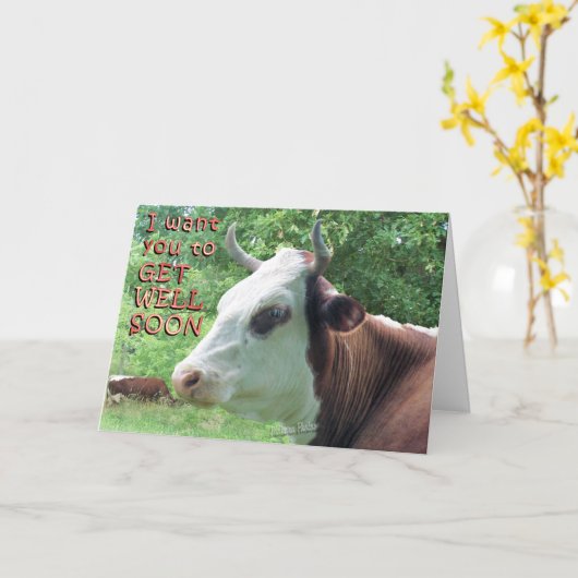 Queenie zegt: "Word snel beter" Kaart (Gele Bloem)