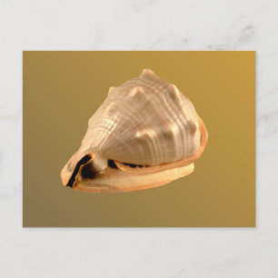 Queens Helmet Briefkaart