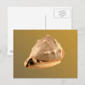 Queens Helmet Briefkaart (Voorkant / Achterkant)