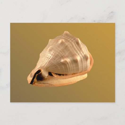 Queens Helmet Briefkaart (Voorkant)