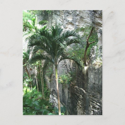 Queen's Staircase Briefkaart (Voorkant)