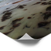 Queenscliff Dreaming Poster (Hoek)