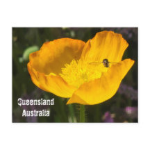 Queensland Australië - Bloem & Bij Ansichtkaart
