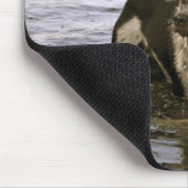 Queensland Heeler Dog Muismat (Hoek)