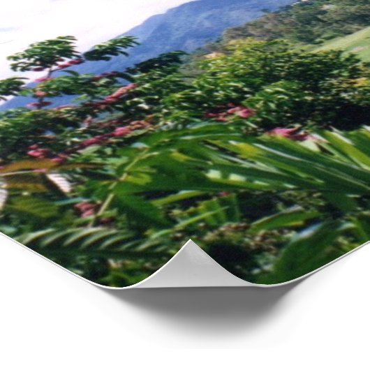 Queensland Poster (Hoek)