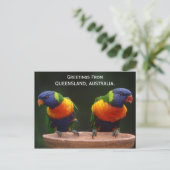 Queensland Rainbow Lorikeets Australia Briefkaart (Staand voorkant)