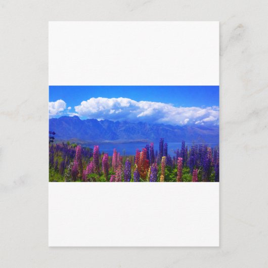 Queenstown New Zealand lupine over het Wakatipu-me Briefkaart (Voorkant)