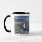 Queenstown, Nieuw-Zeeland Mok (Links)