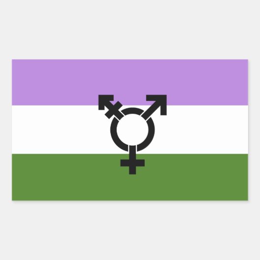 Queer - Gender Queer Pride Rechthoekige Sticker (Voorkant)