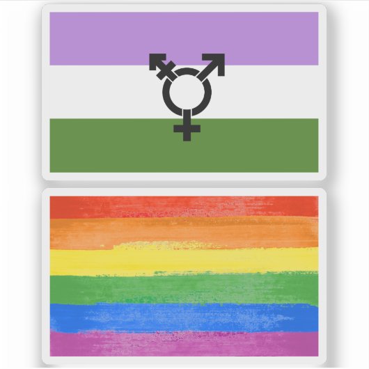 Queer - Gender Queer Pride Sticker (Voorkant)