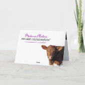 Quella&Hay bdayWishes-past aan Kaart (Achterkant)