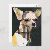 Quem não ama Chiuaua? Briefkaart (Voorkant / Achterkant)