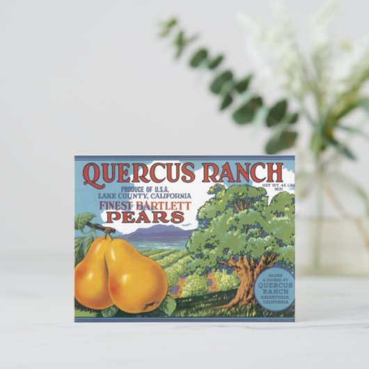 Quercus Ranch Bartlett Pears Briefkaart (Staand voorkant)