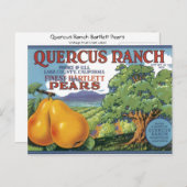 Quercus Ranch Bartlett Pears Briefkaart (Voorkant / Achterkant)
