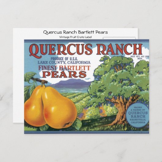 Quercus Ranch Bartlett Pears Briefkaart (Voorkant / Achterkant)