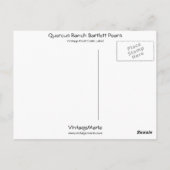 Quercus Ranch Bartlett Pears Briefkaart (Achterkant)