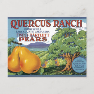 Quercus Ranch Bartlett Pears Briefkaart