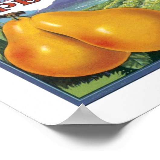 Quercus Ranch Bartlett Pears Poster (Hoek)