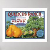 Quercus Ranch Bartlett Pears Poster (Voorkant)