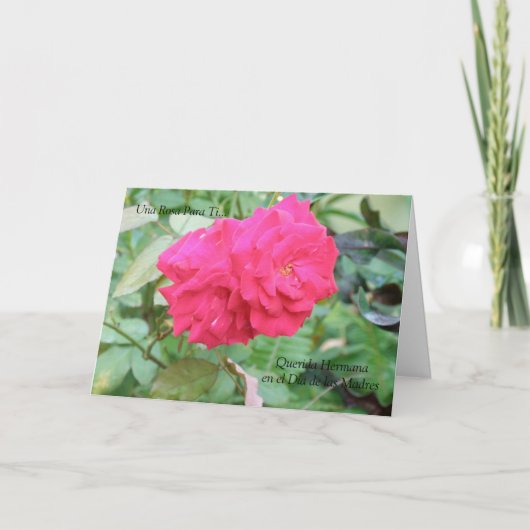 Querida Hermana Dia DE Las Madres Kaart (Voorkant)