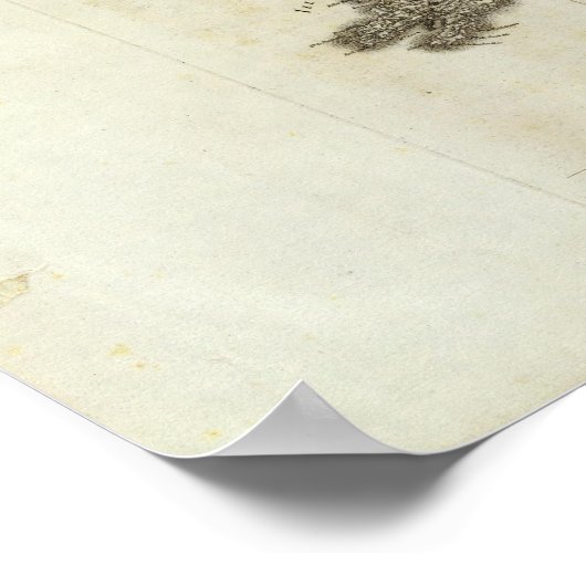 Quessant Poster (Hoek)