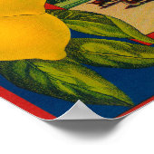 Questa Lemon LabelCorona, CA Poster (Hoek)