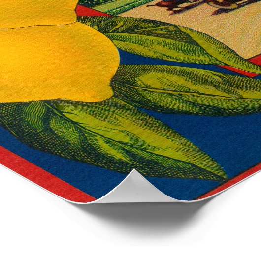 Questa Lemon LabelCorona, CA Poster (Hoek)