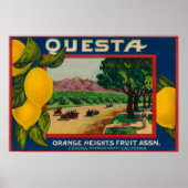 Questa Lemon LabelCorona, CA Poster (Voorkant)