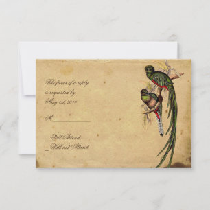  Quetzal Bird Elegant Response kaart