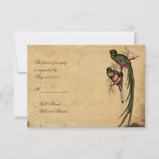 Quetzal Bird Elegant Response kaart (Voorkant)