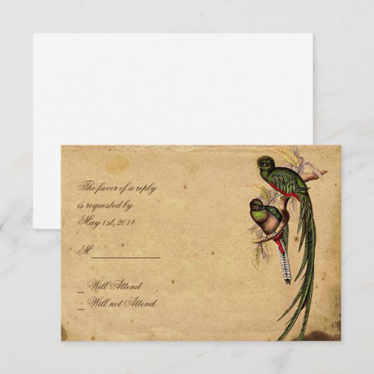  Quetzal Bird Elegant Response kaart (Voorkant / Achterkant)