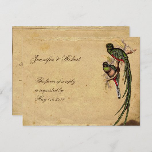  Quetzal Bird Elegant RSVP Briefkaart (Voorkant / Achterkant)
