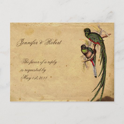 Quetzal Bird Elegant RSVP Briefkaart (Voorkant)