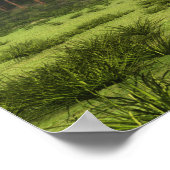 Quetzalcoatl dalend 002 poster (Hoek)