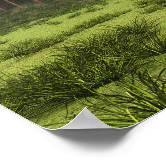 Quetzalcoatl dalend 002 poster (Hoek)