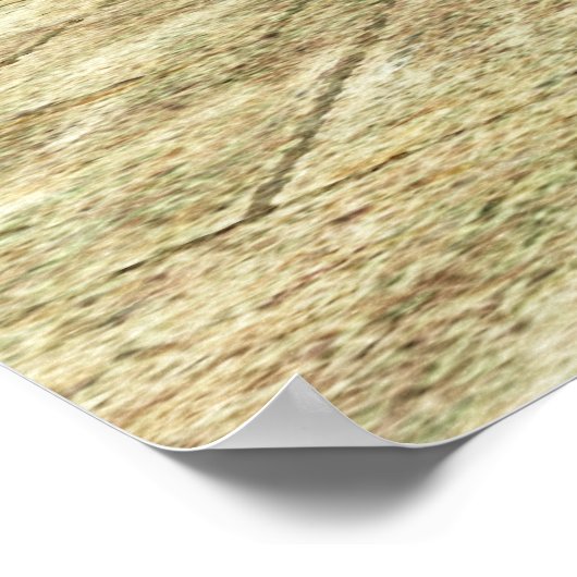 Quetzalcoatl dalend 003 poster (Hoek)