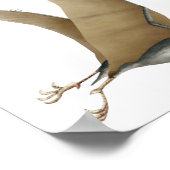 Quetzalcoatlus Poster (Hoek)