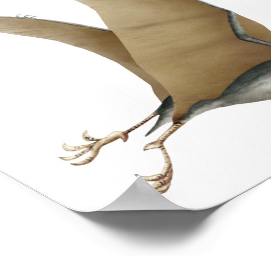 Quetzalcoatlus Poster (Hoek)