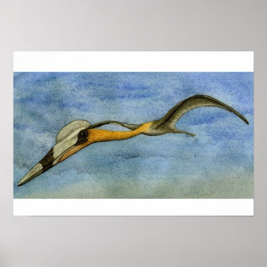Quetzalcoatlus Print (Voorkant)