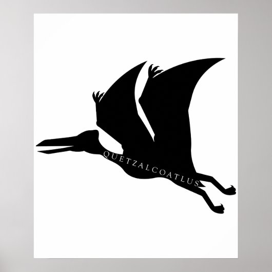 Quetzalcoatlus pterosaur Prehistorisch plein Poster (Voorkant)